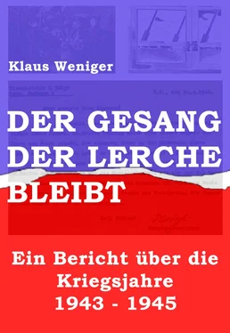 Klaus Weniger Der Gesang der Lerche bleibt обложка книги