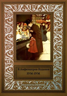 Владимир Амфитеатров-Кадашев Зум-Зум обложка книги