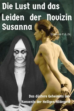 Stefanie P.A.I.N. Die Lust und das Leiden der Novizin Susanna обложка книги