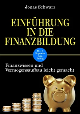 Jonas Schwarz Einführung in die Finanzbildung обложка книги