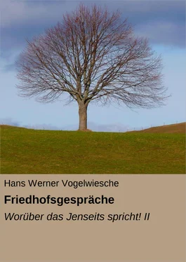 Hans Werner Vogelwiesche Friedhofsgespräche обложка книги