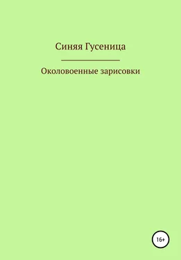 Синяя Гусеница Околовоенные зарисовки обложка книги