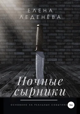 Елена Леденёва Ночные сырники обложка книги