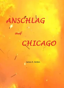 James K. Ambin Anschlag auf Chicago обложка книги