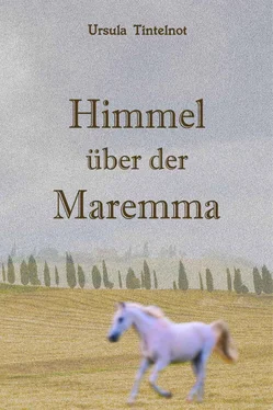 Ursula Tintelnot Himmel über der Maremma обложка книги