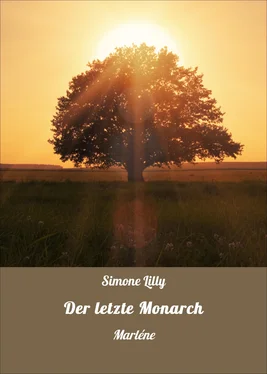 Simone Lilly Der letzte Monarch обложка книги