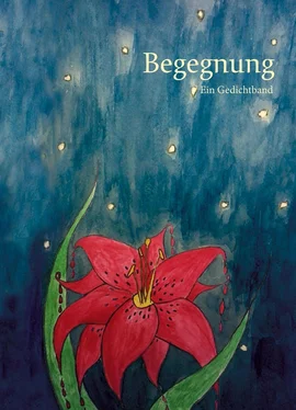 Estella W. Begegnung обложка книги