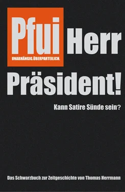 Thomas Herrmann Pfui Herr Präsident! обложка книги