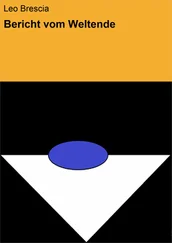 Leo Brescia - Bericht vom Weltende