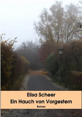 Elisa Scheer Ein Hauch von Vorgestern обложка книги