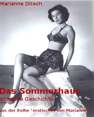 Marianne Ditsch Das Sommerhaus - erotische Geschichte обложка книги