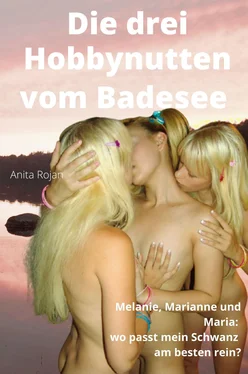 Anita Rojan Die drei Hobbynutten vom Badesee обложка книги