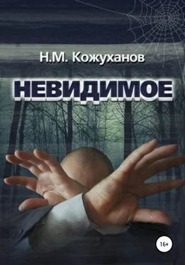 Николай Кожуханов Невидимое обложка книги