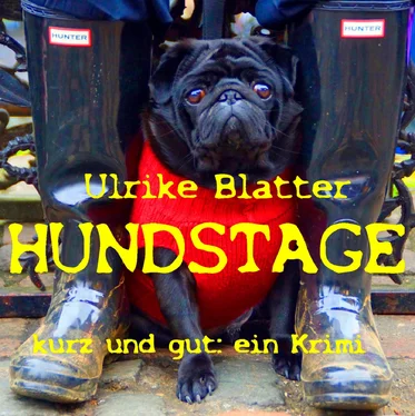 Ulrike Blatter Hundstage обложка книги