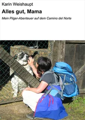 Karin Weishaupt - Alles gut, Mama