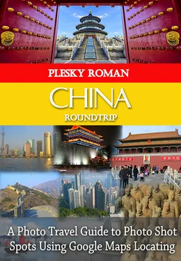 Roman Plesky China Roundtrip обложка книги