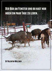 VALENTIN WALLNER - DER BÄR AM FENSTER UND DU HAST NUR NOCH EIN PAAR TAGE ZU LEBEN