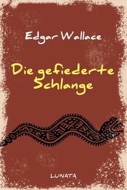 Edgar Wallace Die gefiederte Schlange обложка книги