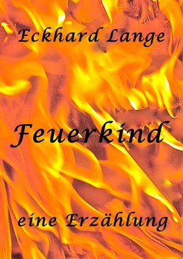 Eckhard Lange Feuerkind обложка книги