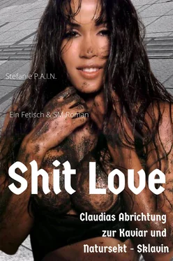 Stefanie P.A.I.N Shit Love обложка книги