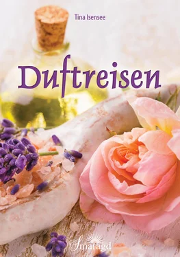 Tina Isensee Duftreisen обложка книги