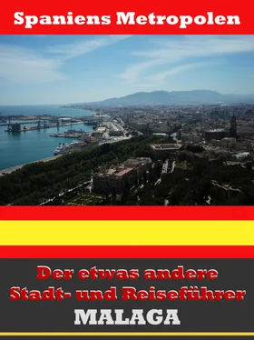 A.D. Astinus Málaga - Der etwas andere Stadt- und Reiseführer - Mit Reise - Wörterbuch Deutsch-Spanisch обложка книги