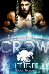 Alexa Kim - Crow (Life Tree - Master Trooper) Band 2