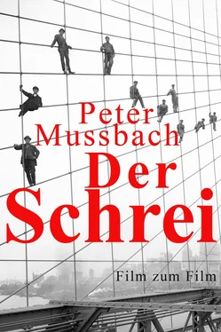 Peter Mussbach Der Schrei обложка книги