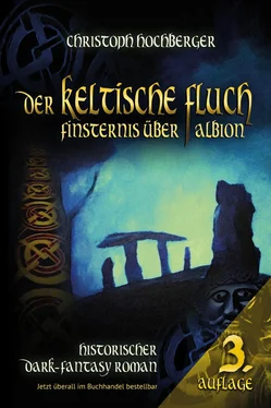 Christoph Hochberger DER KELTISCHE FLUCH обложка книги