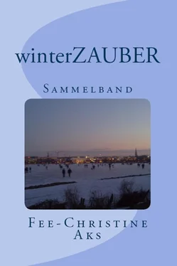 Fee-Christine Aks winterZAUBER обложка книги