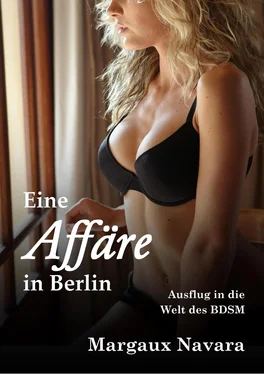 Margaux Navara Eine Affäre in Berlin обложка книги