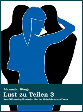 Alexander Wenger Lust zu Teilen 3 обложка книги