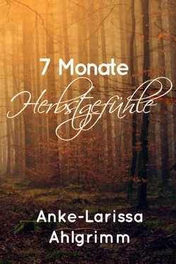 Anke-Larissa Ahlgrimm 7 Monate Herbstgefühle обложка книги