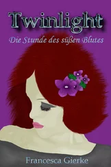 Francesca Gierke - Twinlight - Die Stunde des suessen Blutes