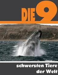 A.D. Astinus - Die Neun schwersten Tiere der Welt