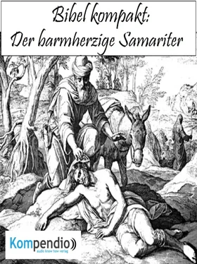 Alessandro Dallmann Der barmherzige Samariter обложка книги