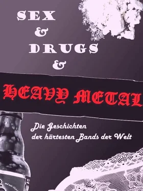 Adam Welling Die Geschichten der härtesten Bands der Welt обложка книги