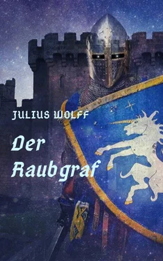 Julius Wolff Julius Wolff: Der Raubgraf обложка книги