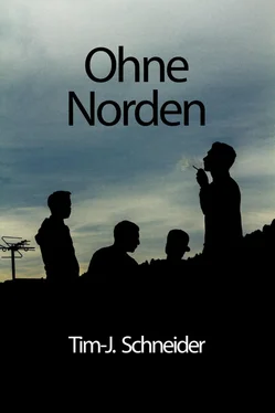 Tim-Julian Schneider Ohne Norden обложка книги