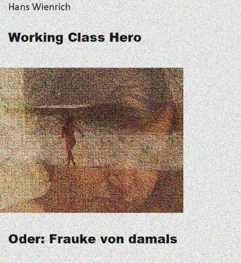 Hans Wienrich Working Class Hero oder Frauke von damals обложка книги