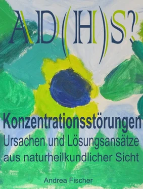 Andrea Fischer AD(H)S? Konzentrationsstörungen: Ursachen und Lösungsansätze aus naturheilkundlicher Sicht обложка книги