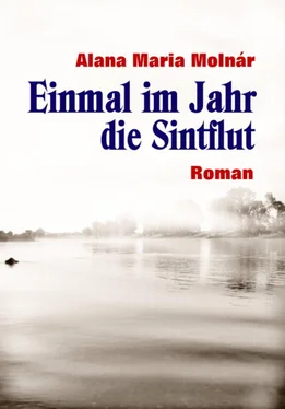 Alana Maria Molnár Einmal im Jahr die Sintflut ebook обложка книги