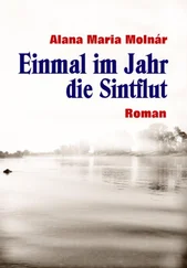 Alana Maria Molnár - Einmal im Jahr die Sintflut ebook