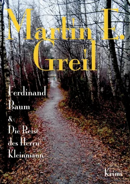 Martin E. Greil Ferdinand Baum & Die Reise des Herrn Kleinmann обложка книги