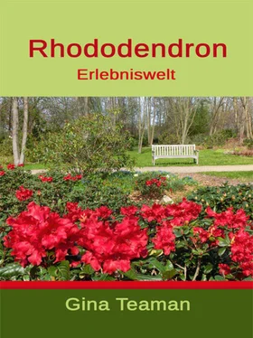 Gina Teaman Rhododendron Erlebniswelt обложка книги