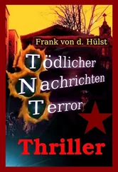 Frank von d. Hülst - Tödlicher Nachrichten Terror