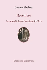 Gustave Flaubert - November
