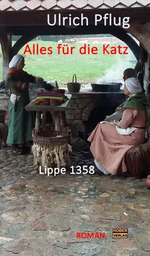 Ulrich Pflug Alles für die Katz - Lippe 1358 обложка книги