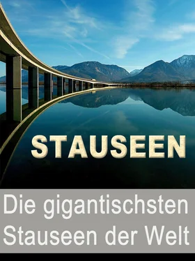 Noah Adomait Stauseen - Die gigantischsten Stauseen der Welt обложка книги