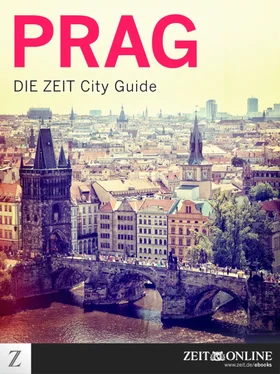 ZEIT ONLINE Prag обложка книги